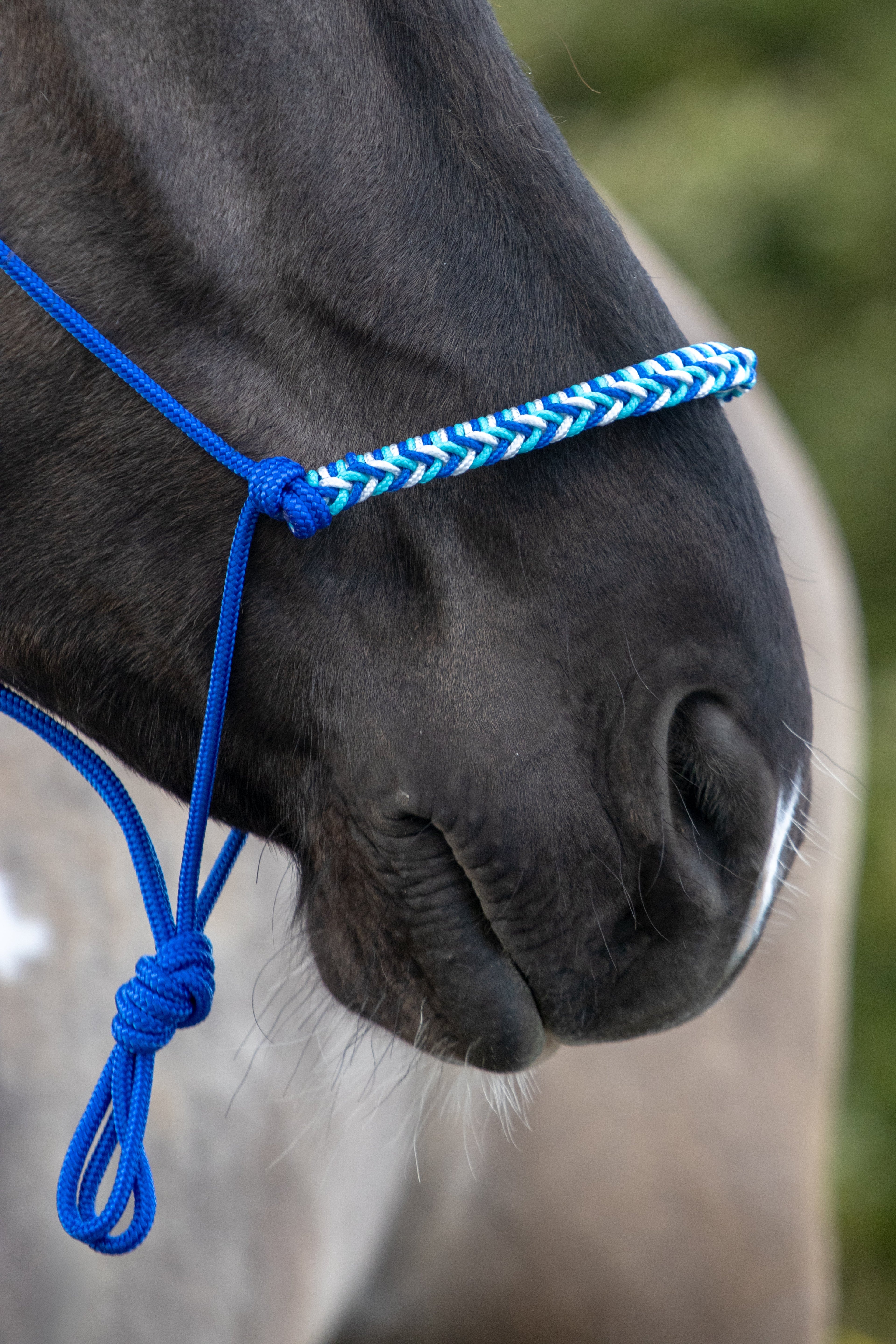 Touwhalster met gevlochten neusband