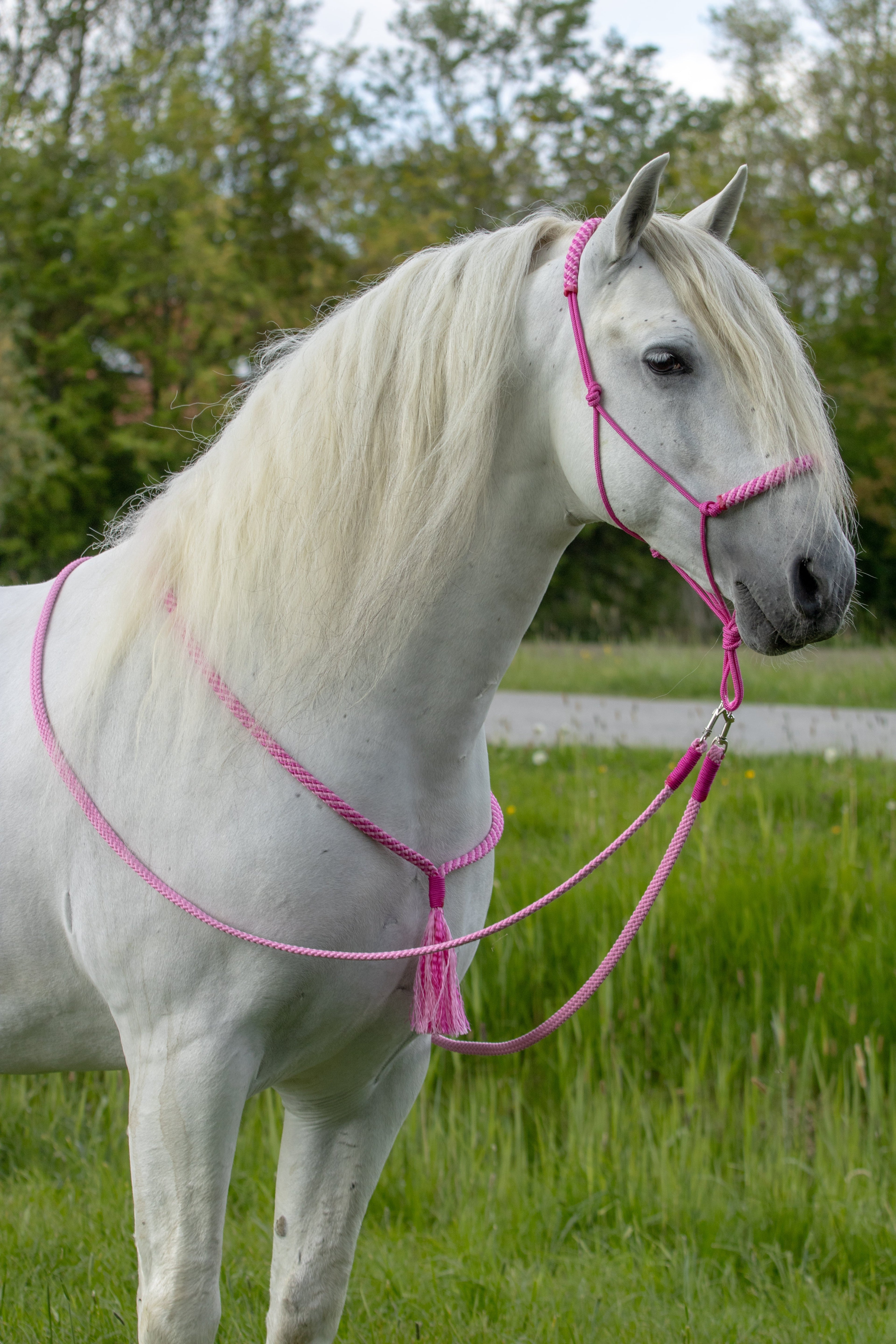 Standaard touwhalster set