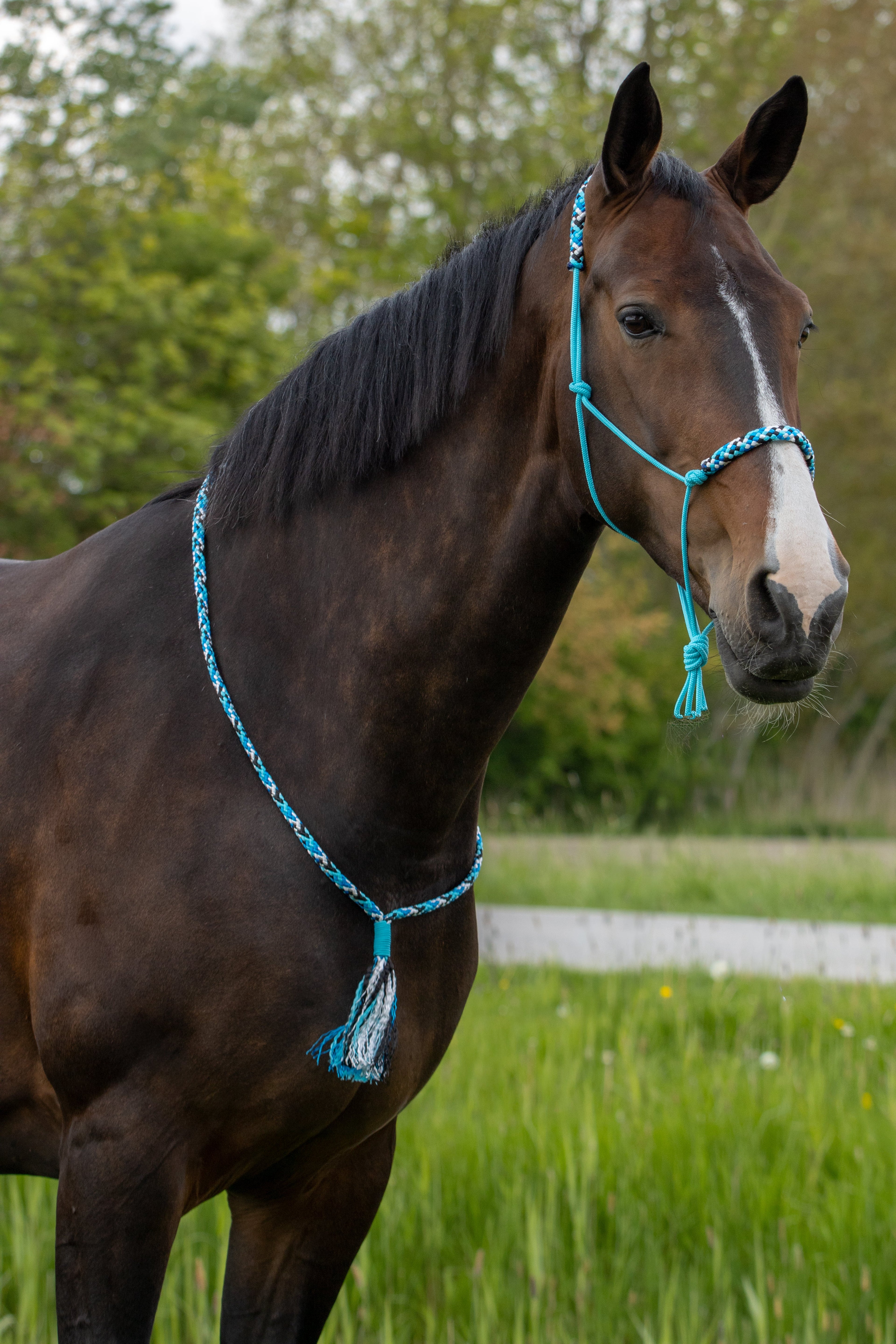 Set touwhalster en neckrope
