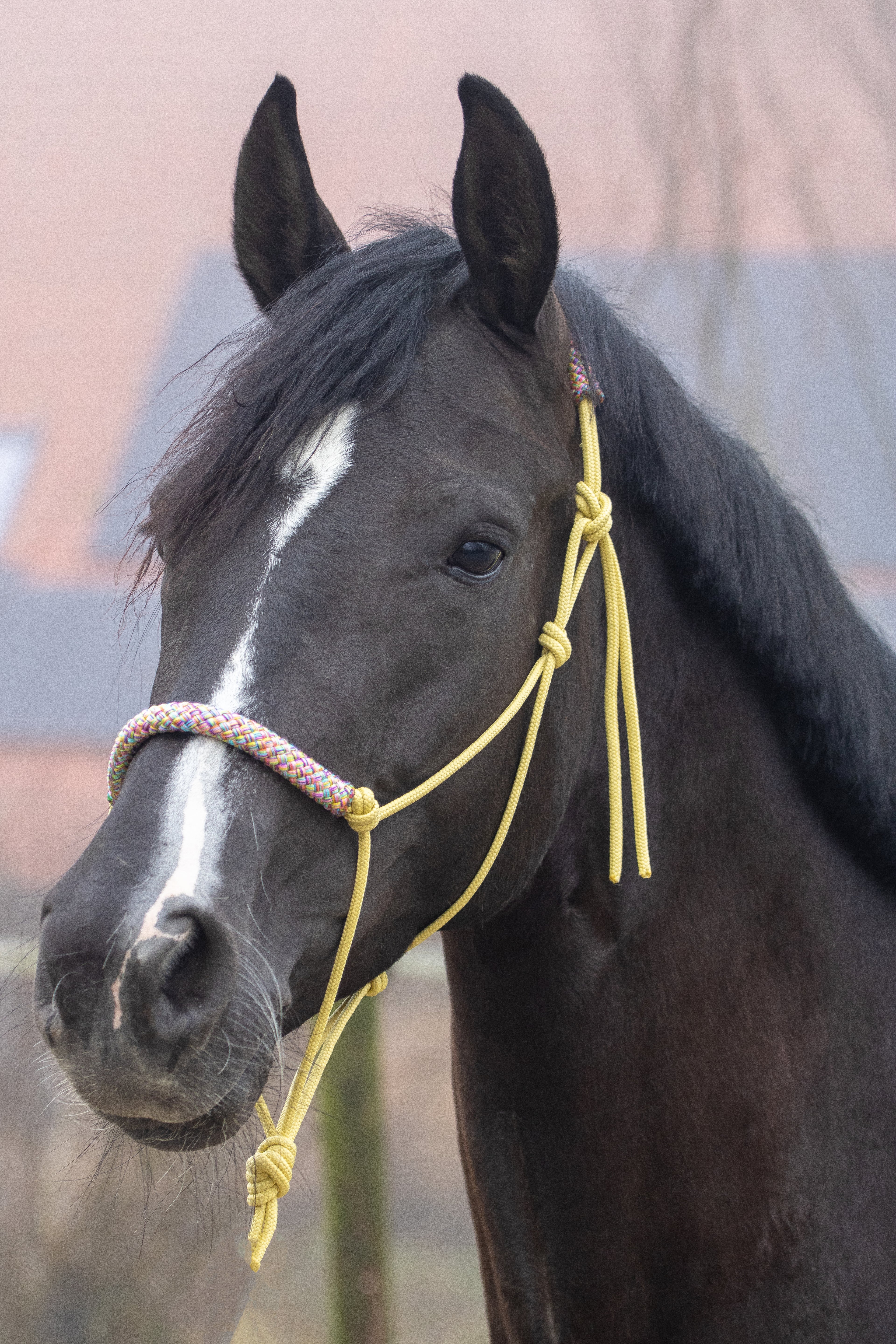 Touwhalster pastel geel met flower power