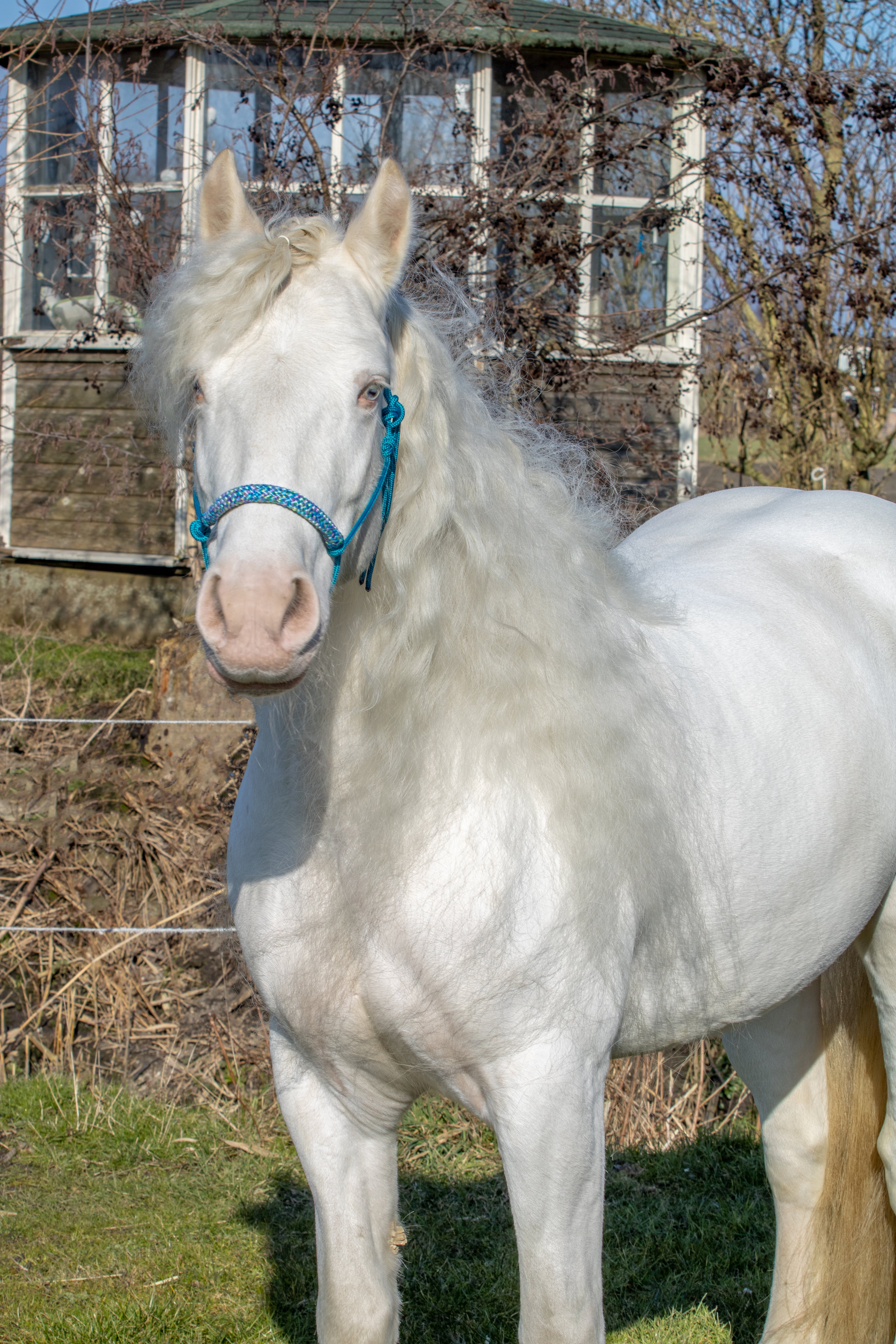 Touwhalster aqua met mermaid neus en oorband