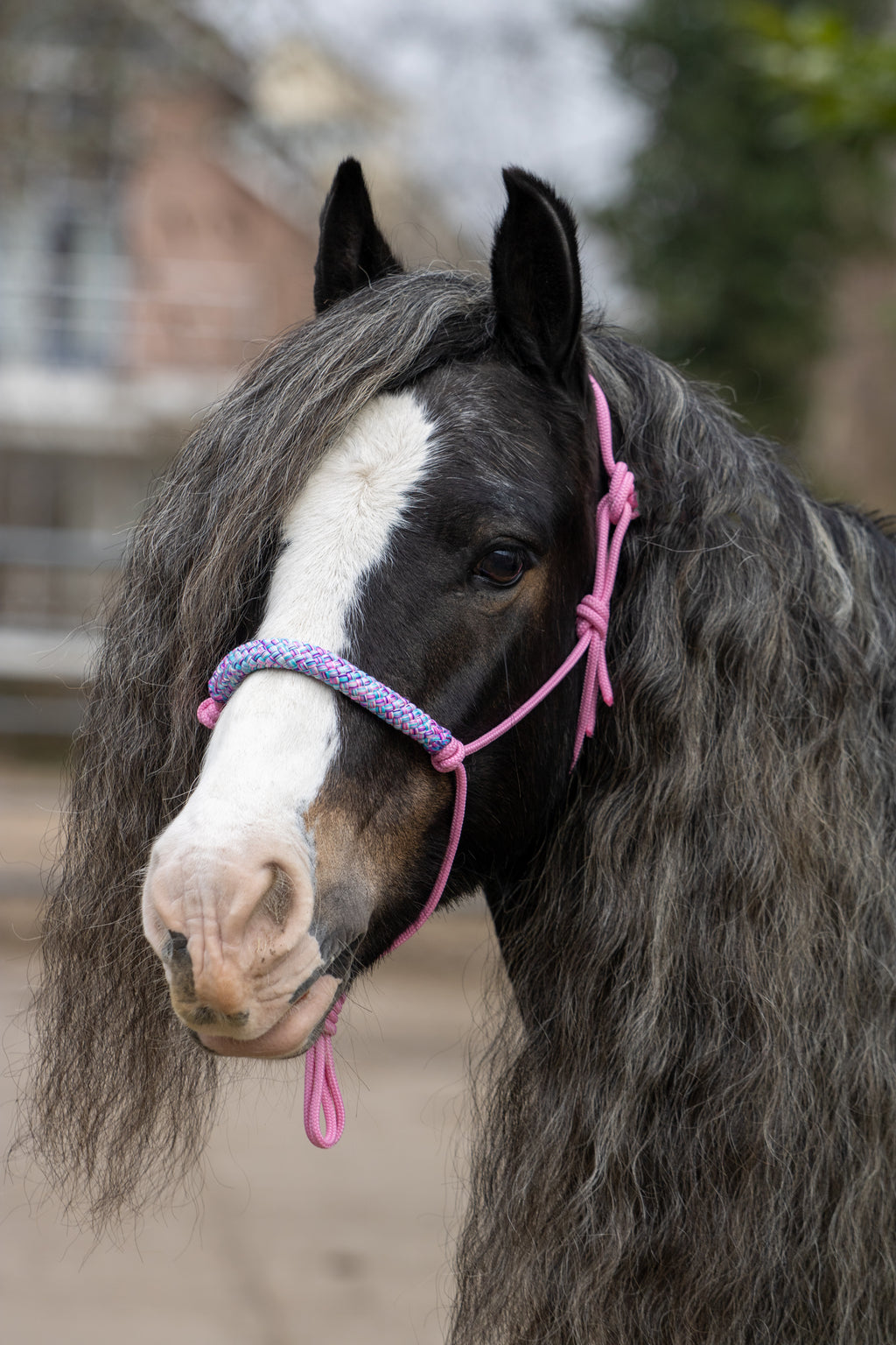 Touwhalster babyroze met rozemix