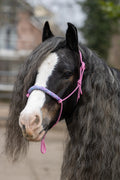 Touwhalster babyroze met rozemix