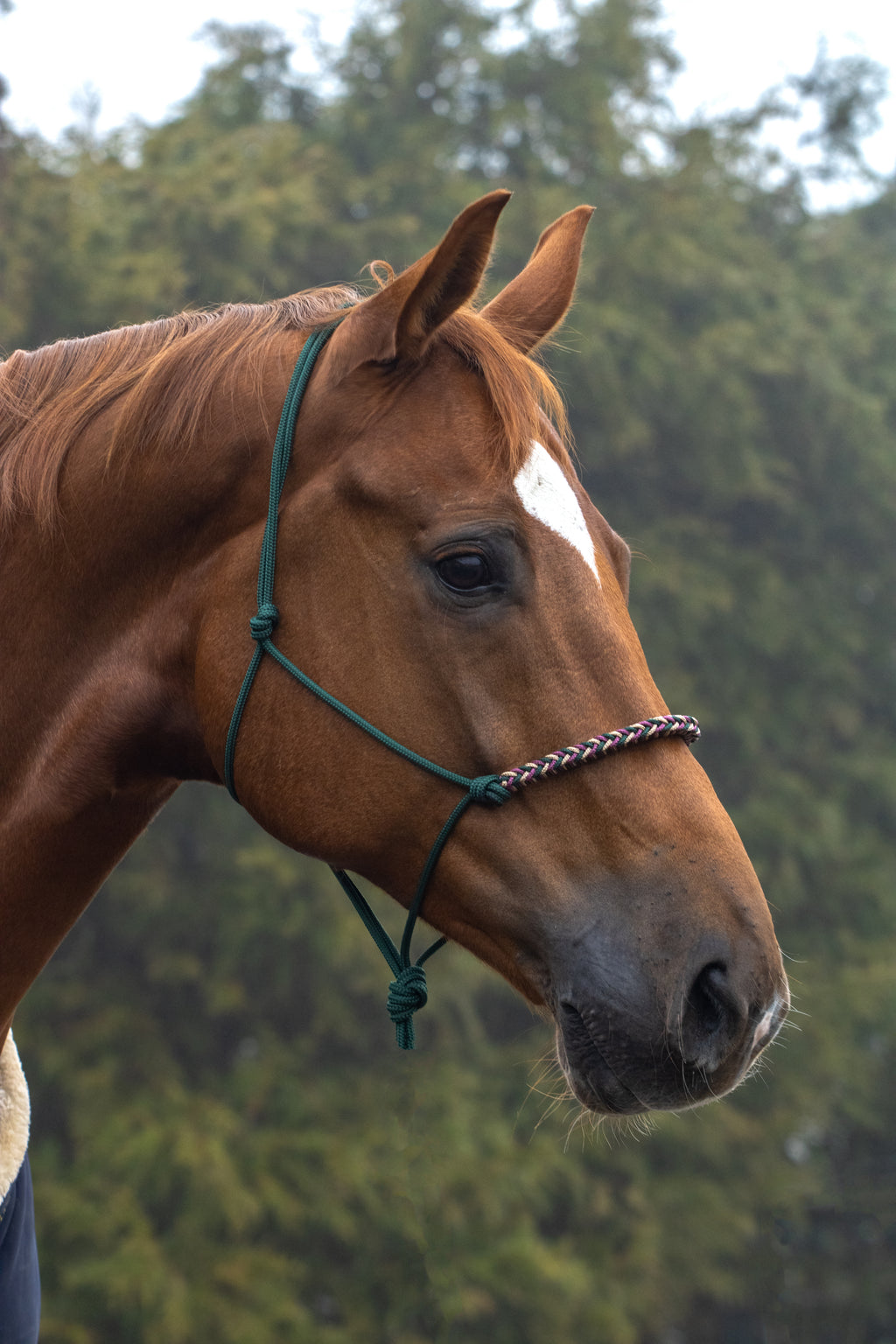 Touwhalster met gevlochten neusband donkergroen, beige en bordeaux