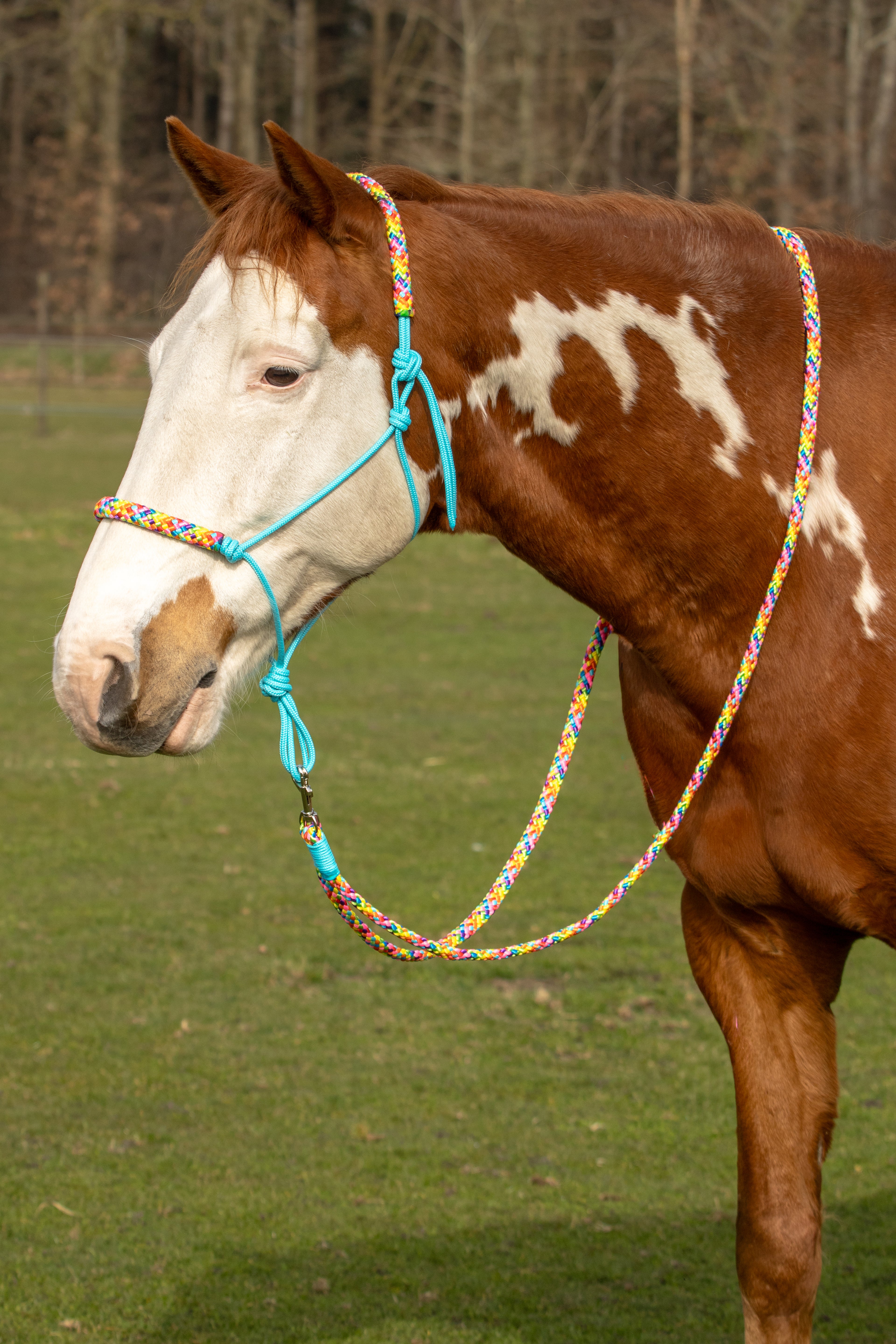 Touwhalster set rainbow vibes