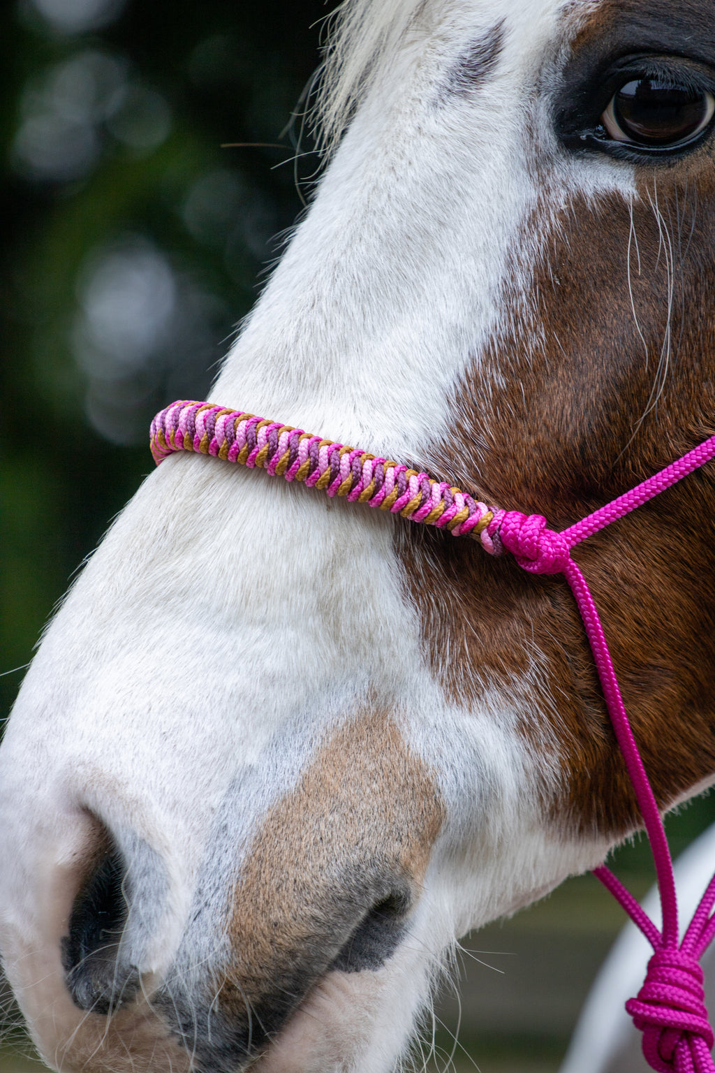 Touwhalster viënna neusband fuchsia, beige, karamel en bordeaux