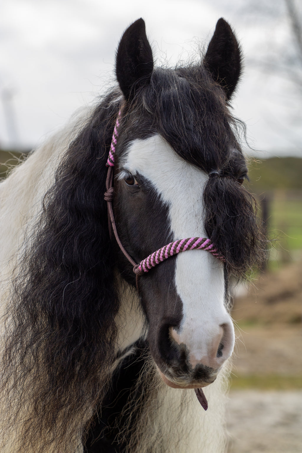 Touwhalster bruin met bruin/babyroze neus en oorband