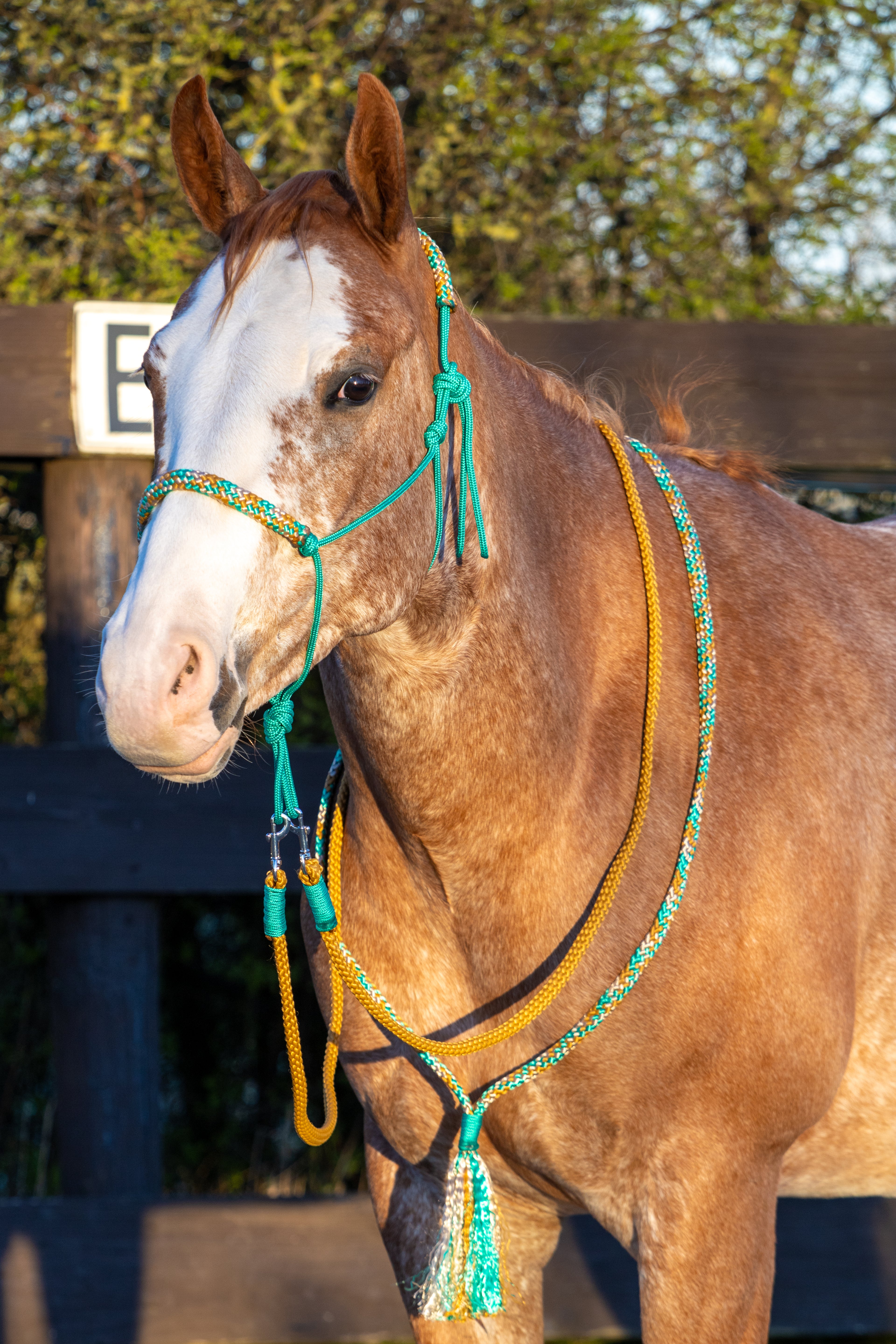 Touwhalster set green karamel