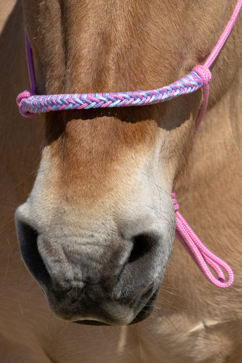 Touwhalster gevlochten neusband babyroze, babyblauw en lila