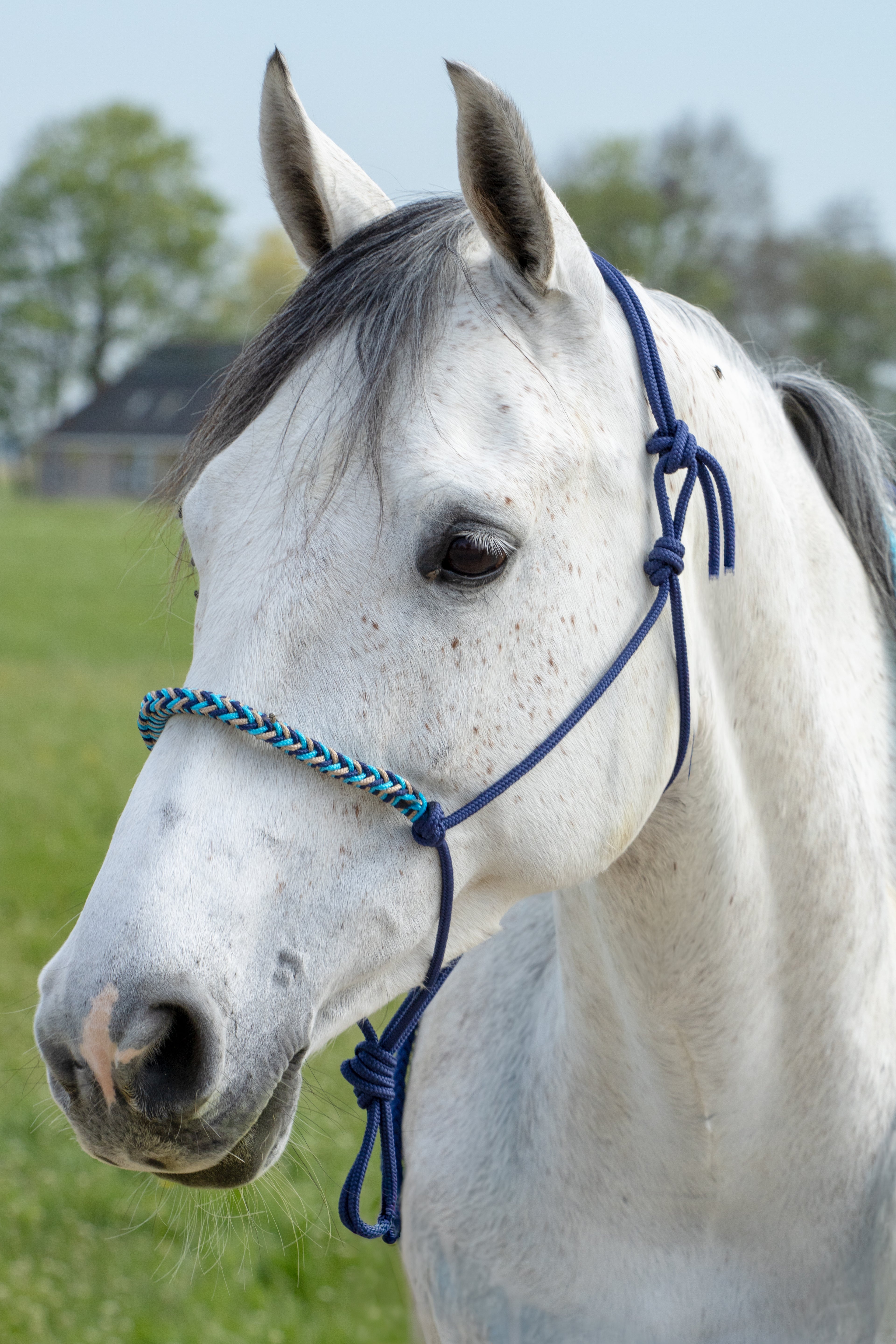 Touwhalster donkerblauw, beige en oceaan blauw