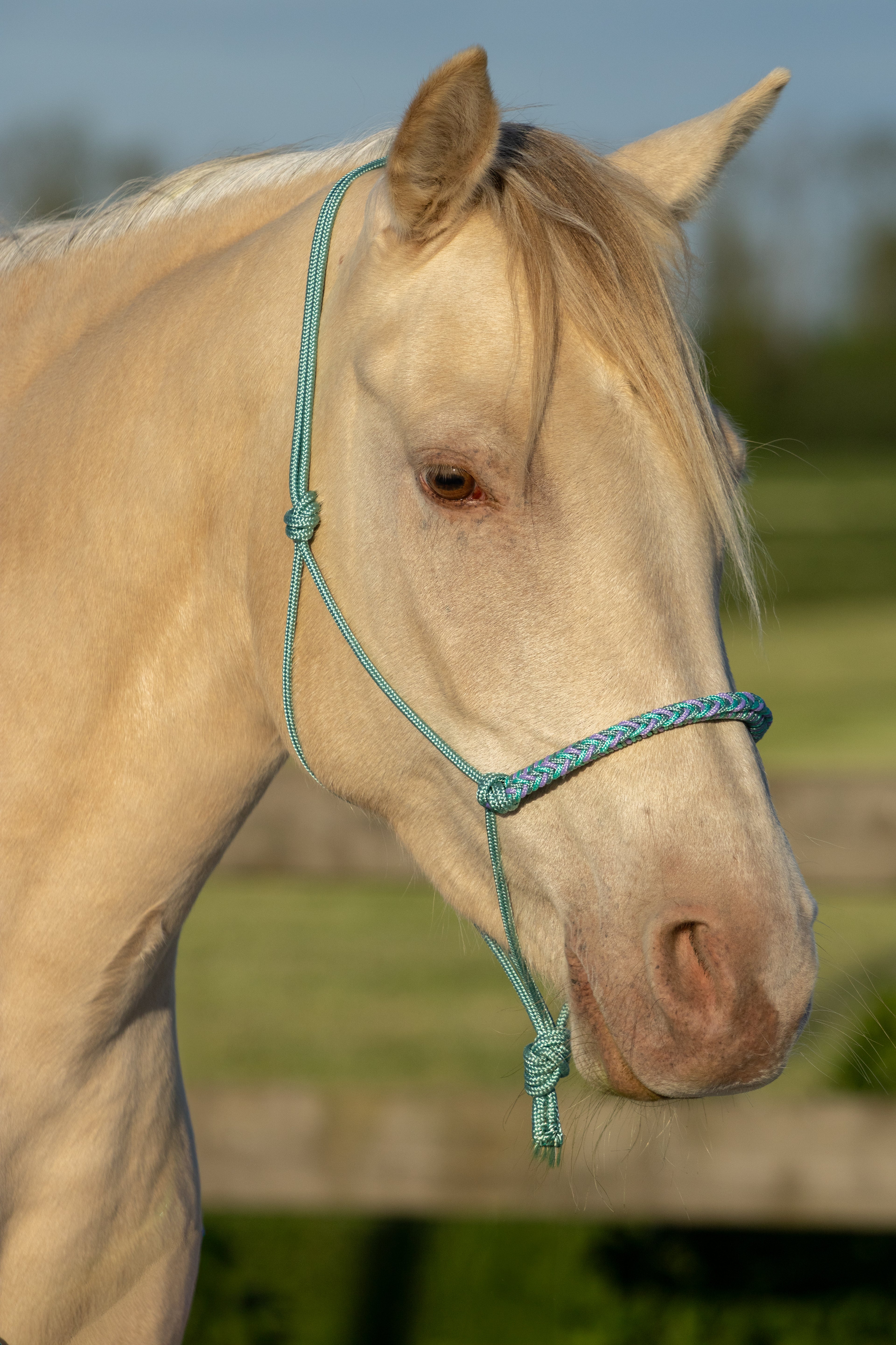 Touwhalster zeegroen, mintgroen en lila