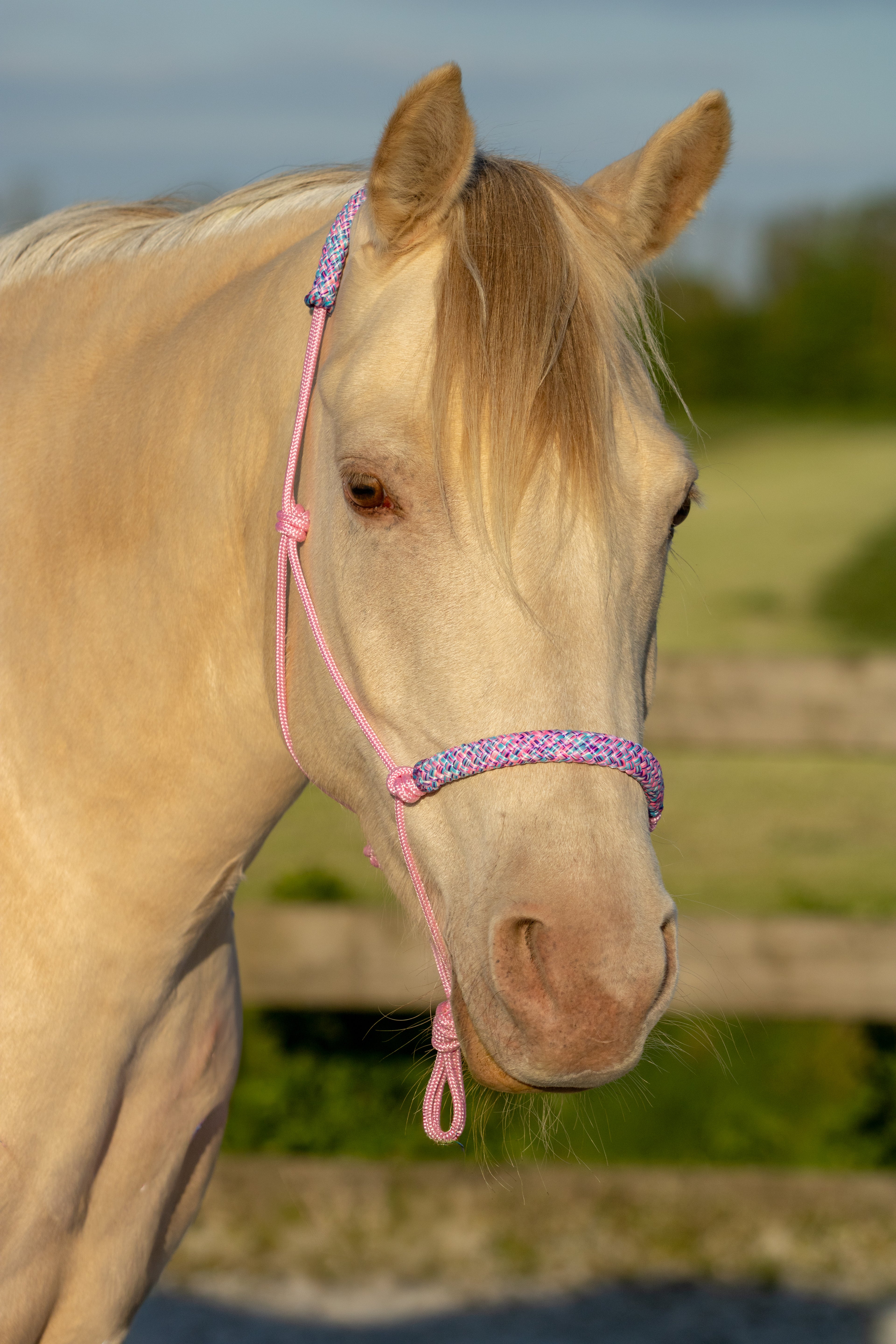 Touwhalster babyroze met rozemix