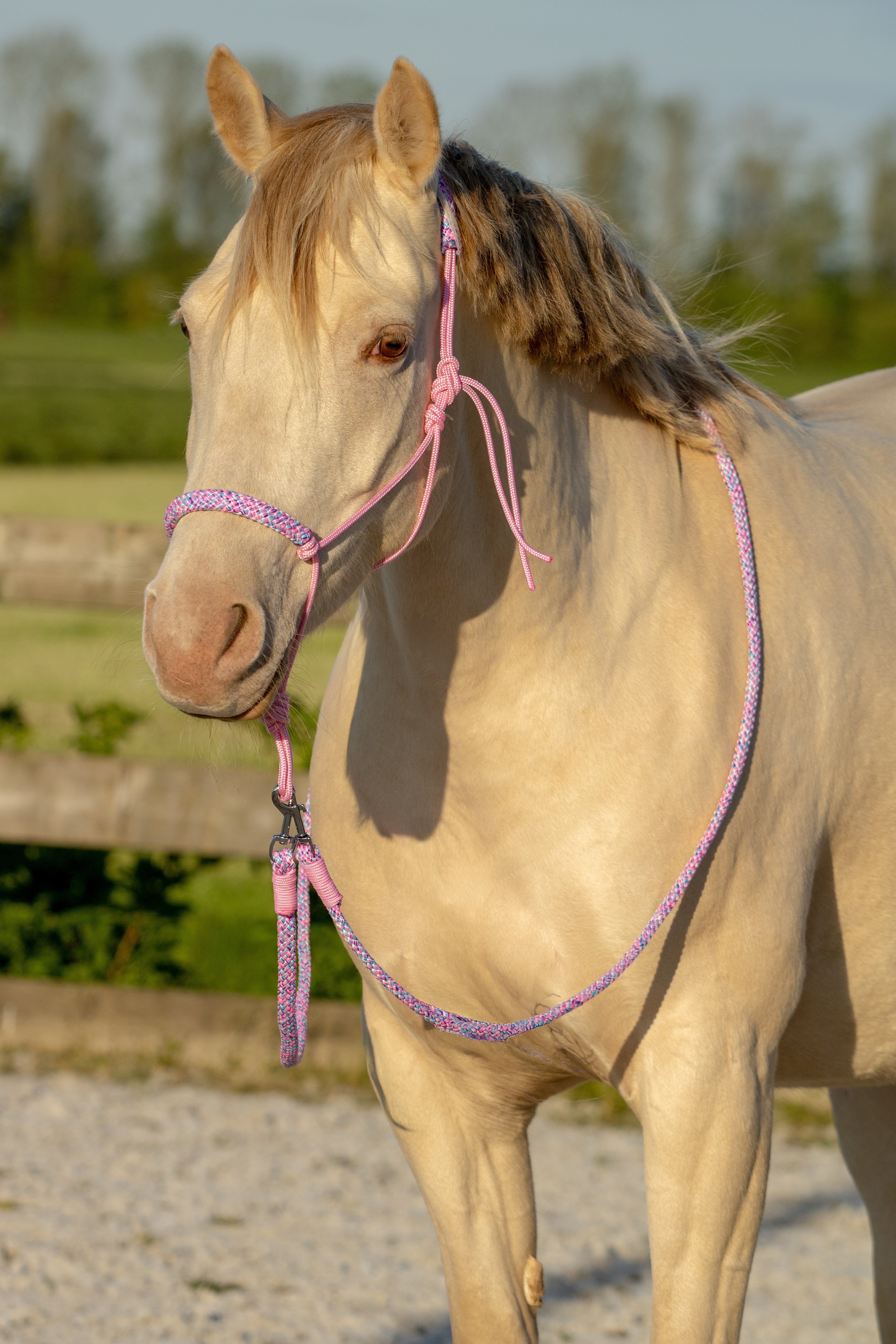 Touwhalster set unicorn