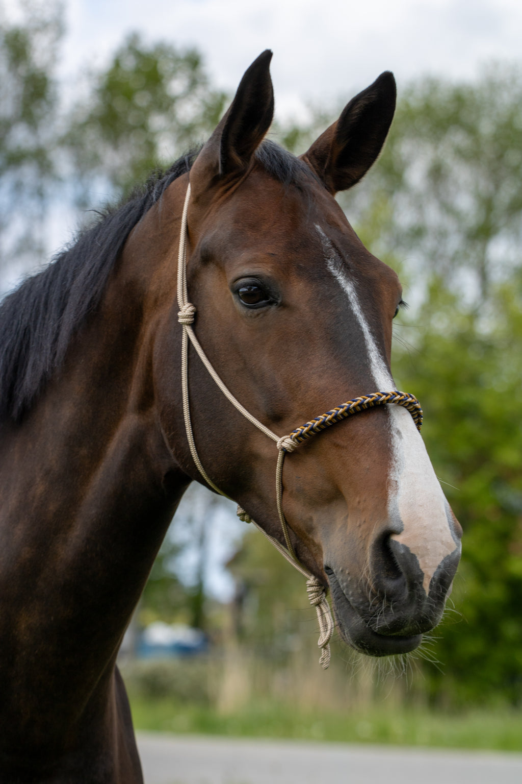 Touwhalster met gevlochten neusband beige, donkerblauw en karamel