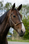 Touwhalster met gevlochten neusband beige, donkerblauw en karamel