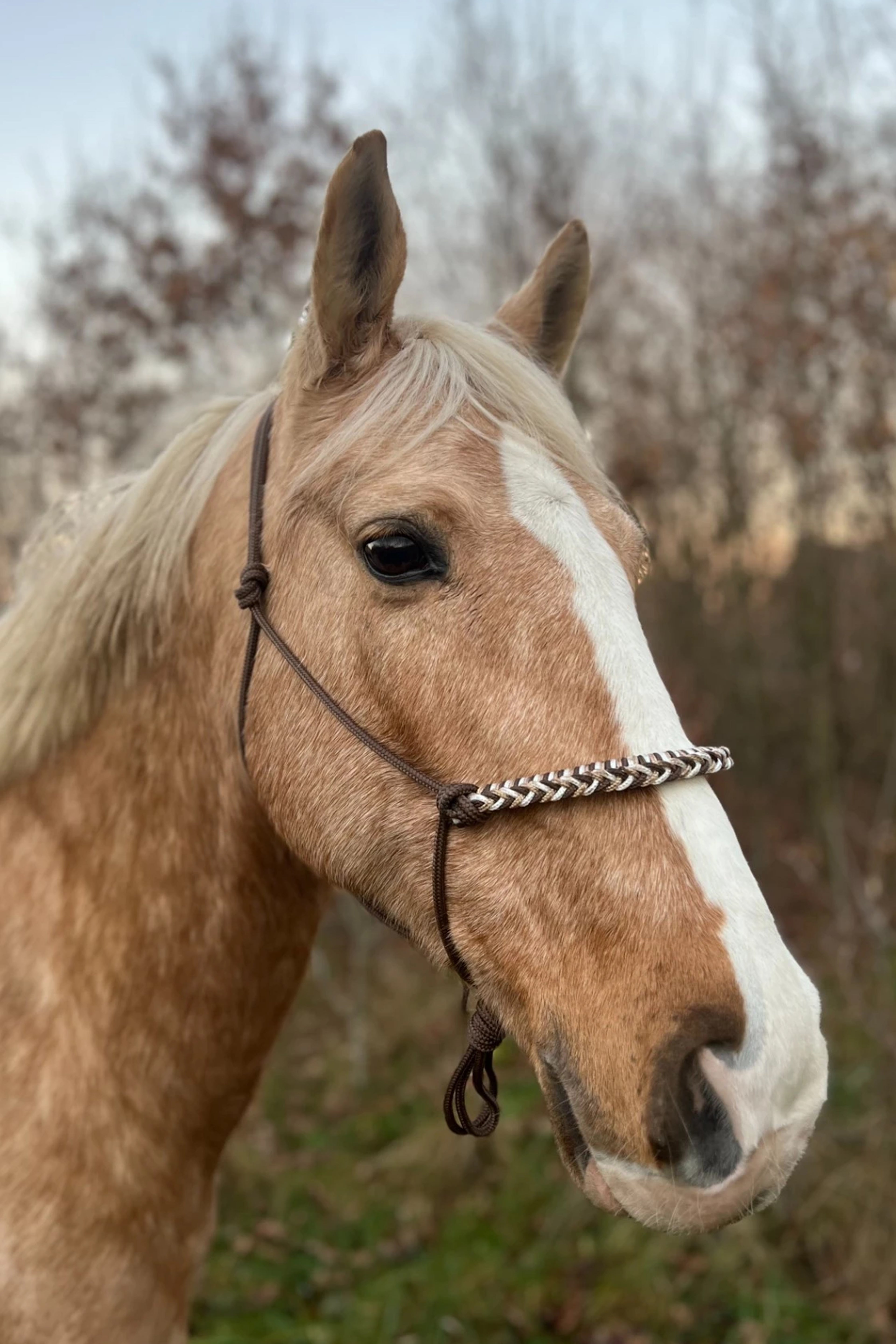 Touwhalster gevlochten neusband bruin, wit en beige