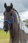 Touwhalster met gevlochten neusband kobalt, wit en turquoise