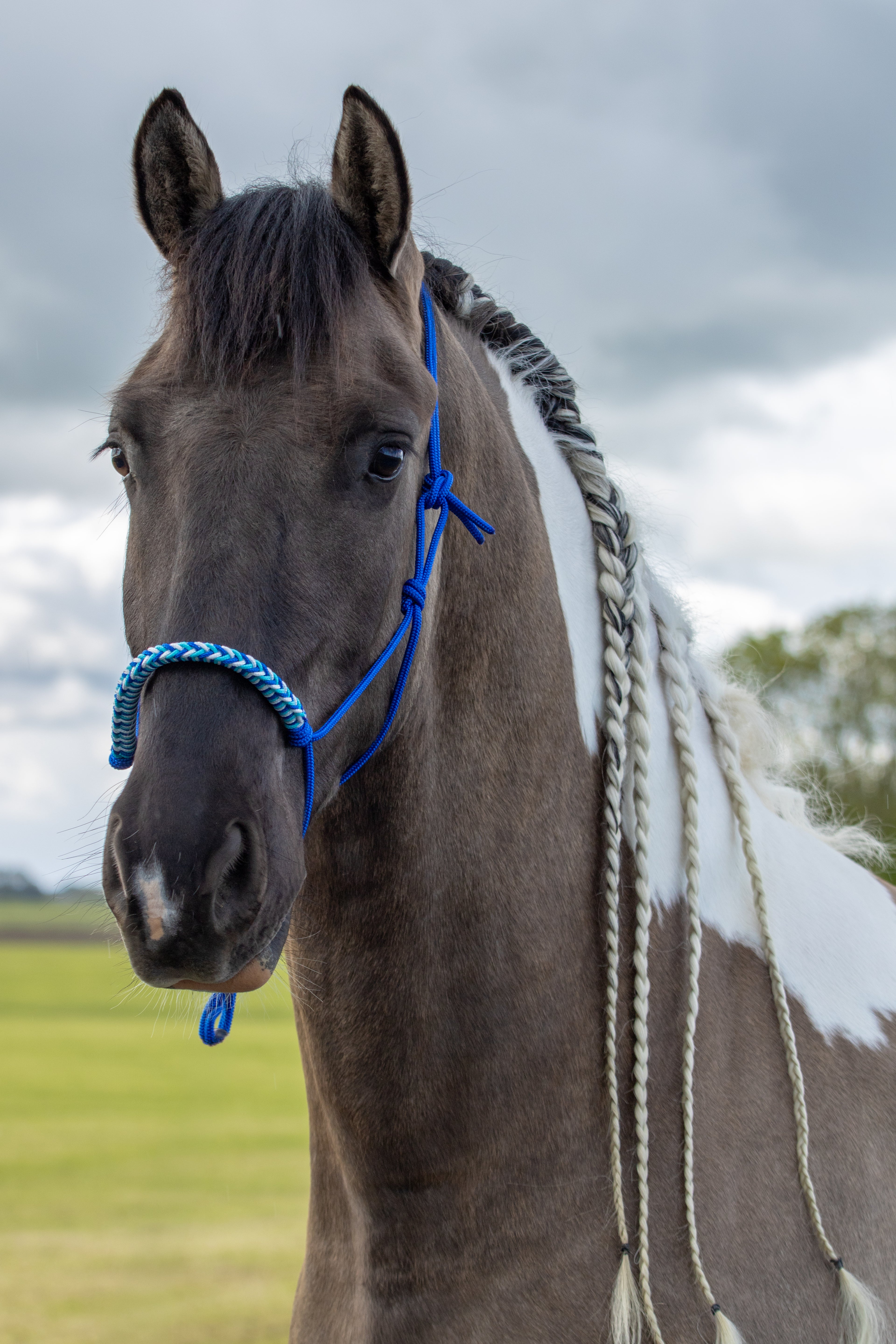Touwhalster met gevlochten neusband kobalt, wit en turquoise
