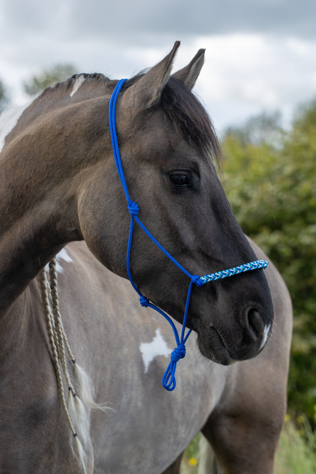 Touwhalster met gevlochten neusband kobalt, wit en turquoise