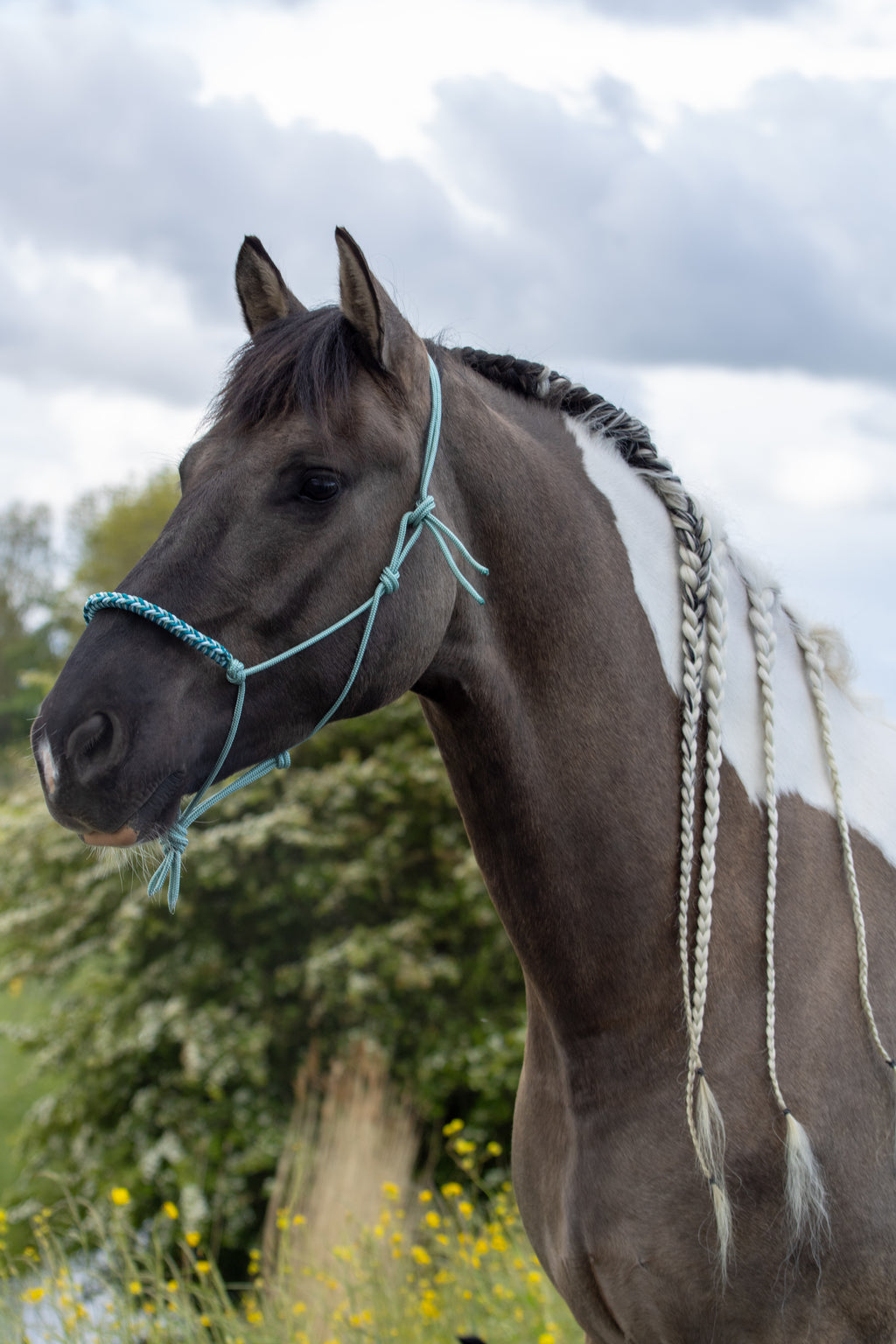 Touwhalster met gevlochten neusband zeegroen, babyblauw en aqua