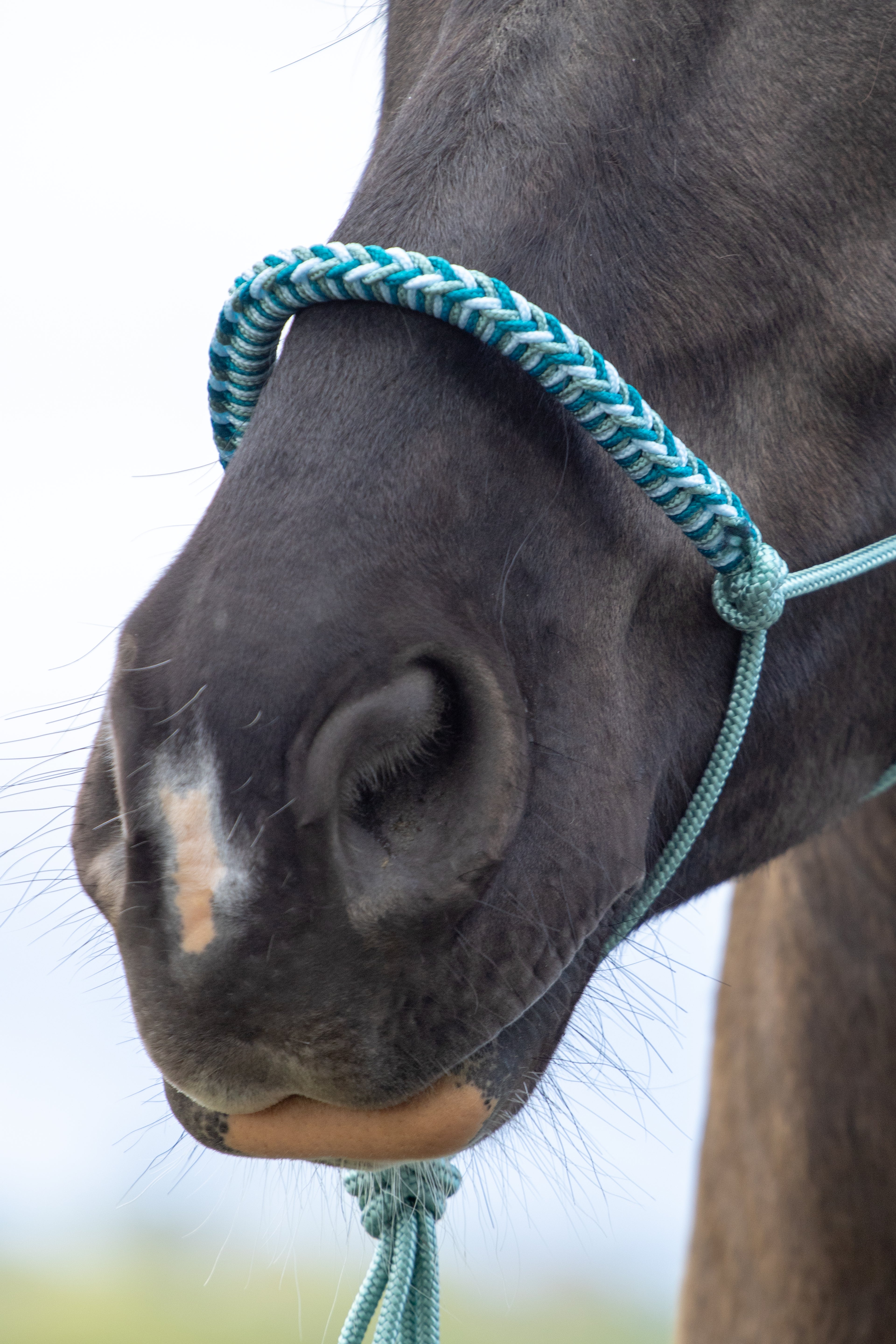 Touwhalster met gevlochten neusband zeegroen, babyblauw en aqua