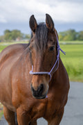 Touwhalster met gevlochten neusband lila, wit en zwart