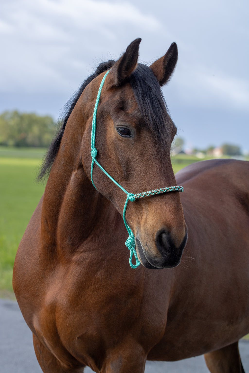 Touwhalster met gevlochten neusband mintgroen, beige en bruin
