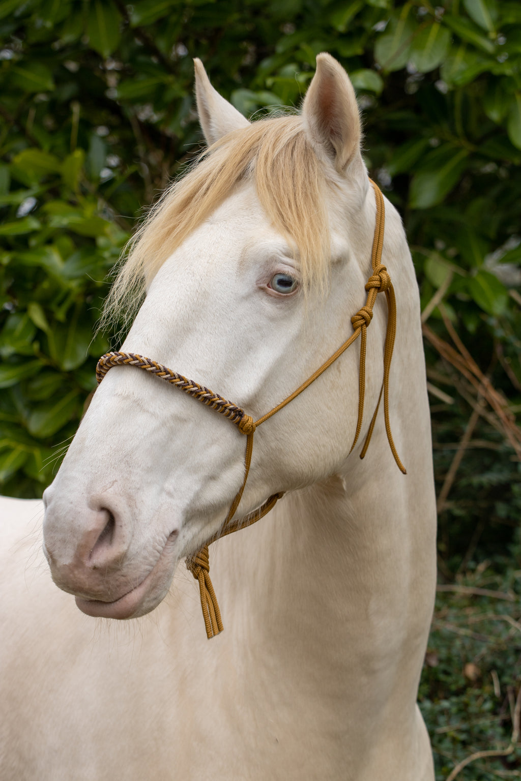 Touwhalster met gevlochten neusband karamel, bruin en beige