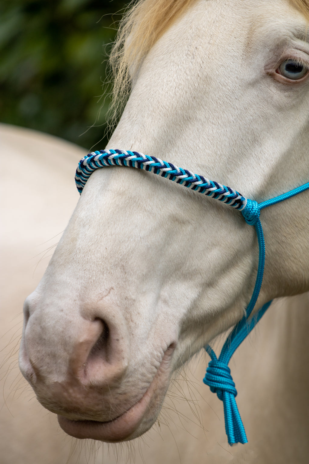 Touwhalster met gevlochten neusband oceaan blauw, wit en donkerblauw