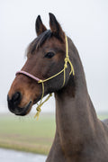 Touwhalster met gevlochten neusband pastel geel, lila en babyroze