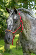 Workshop deluxe- Touwhalster + neusband knopen (locatie naar keuze)