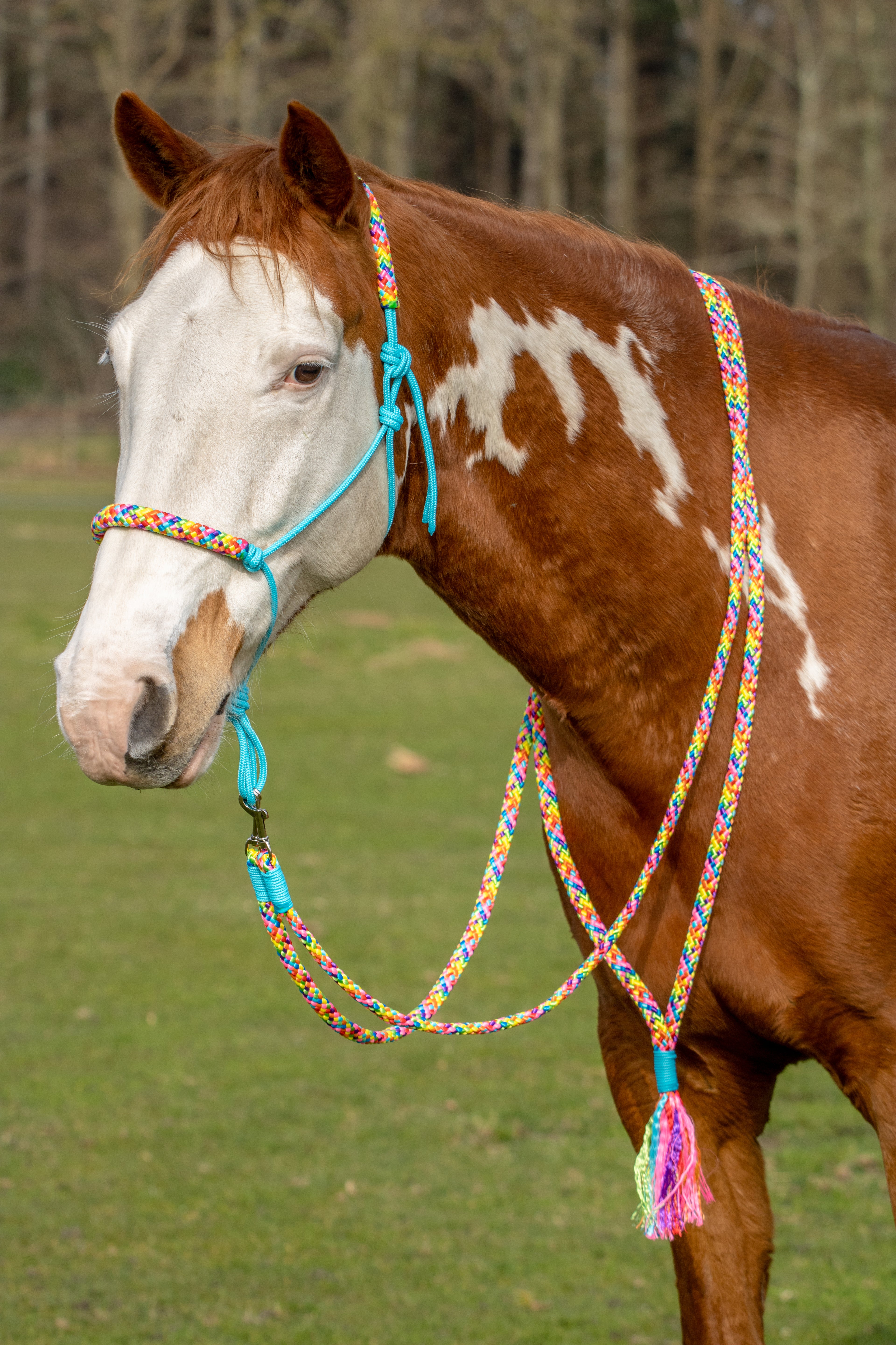 Touwhalster set rainbow vibes