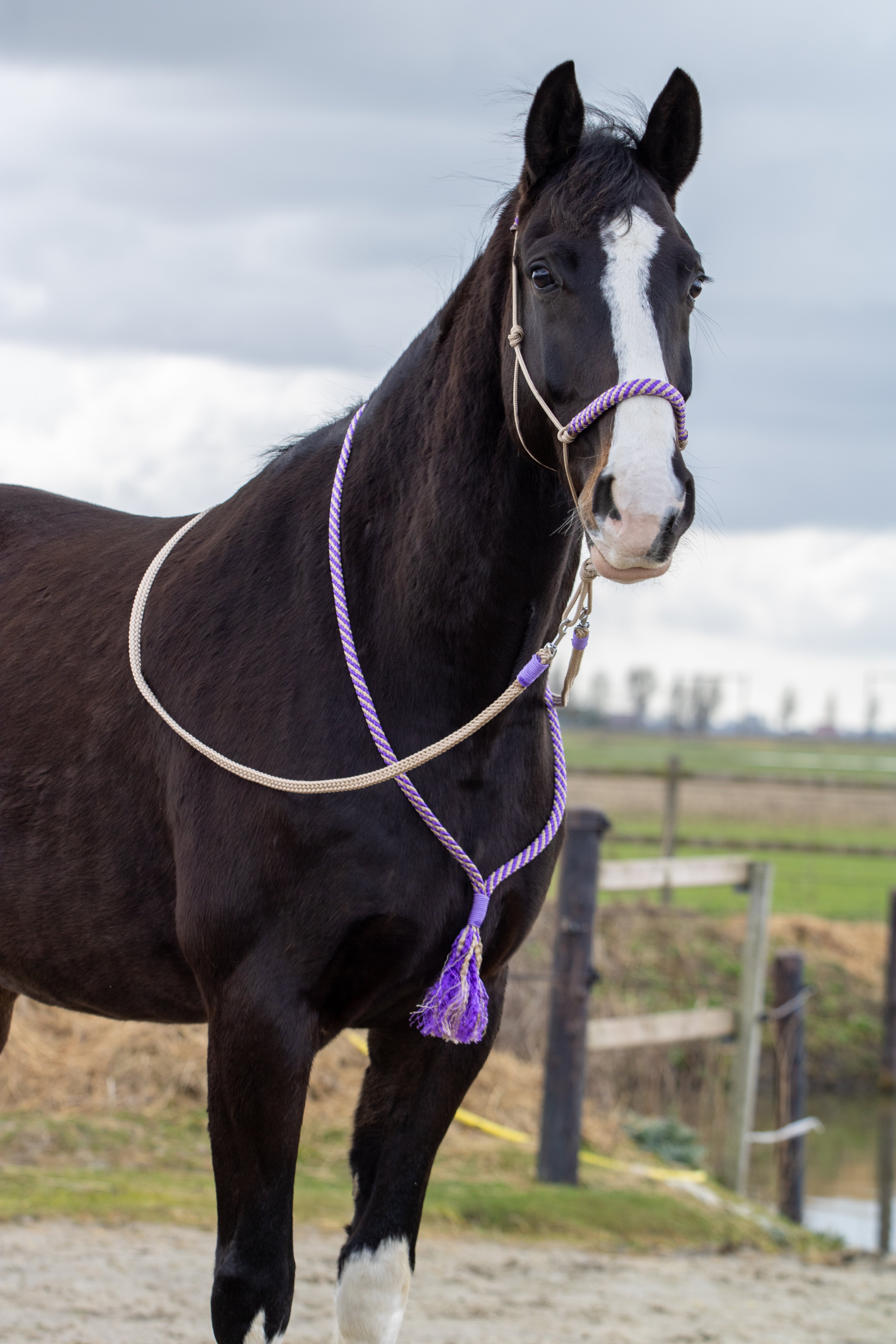 Touwhalster set lavendel