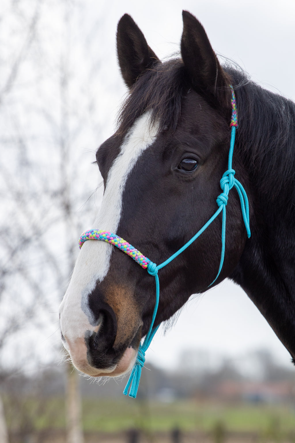 Touwhalster turquoise met hawaii mix