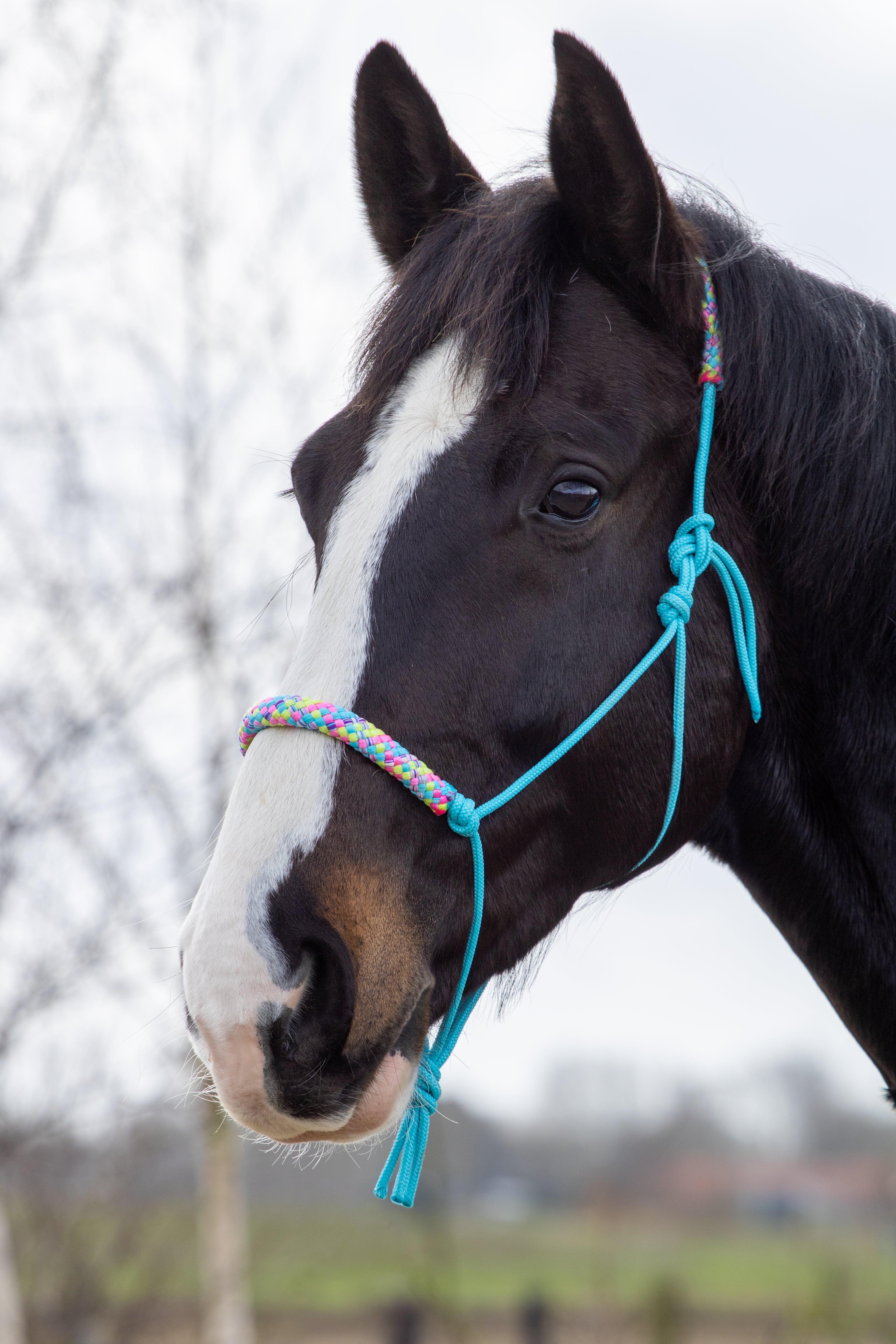 Touwhalster turquoise met hawaii mix