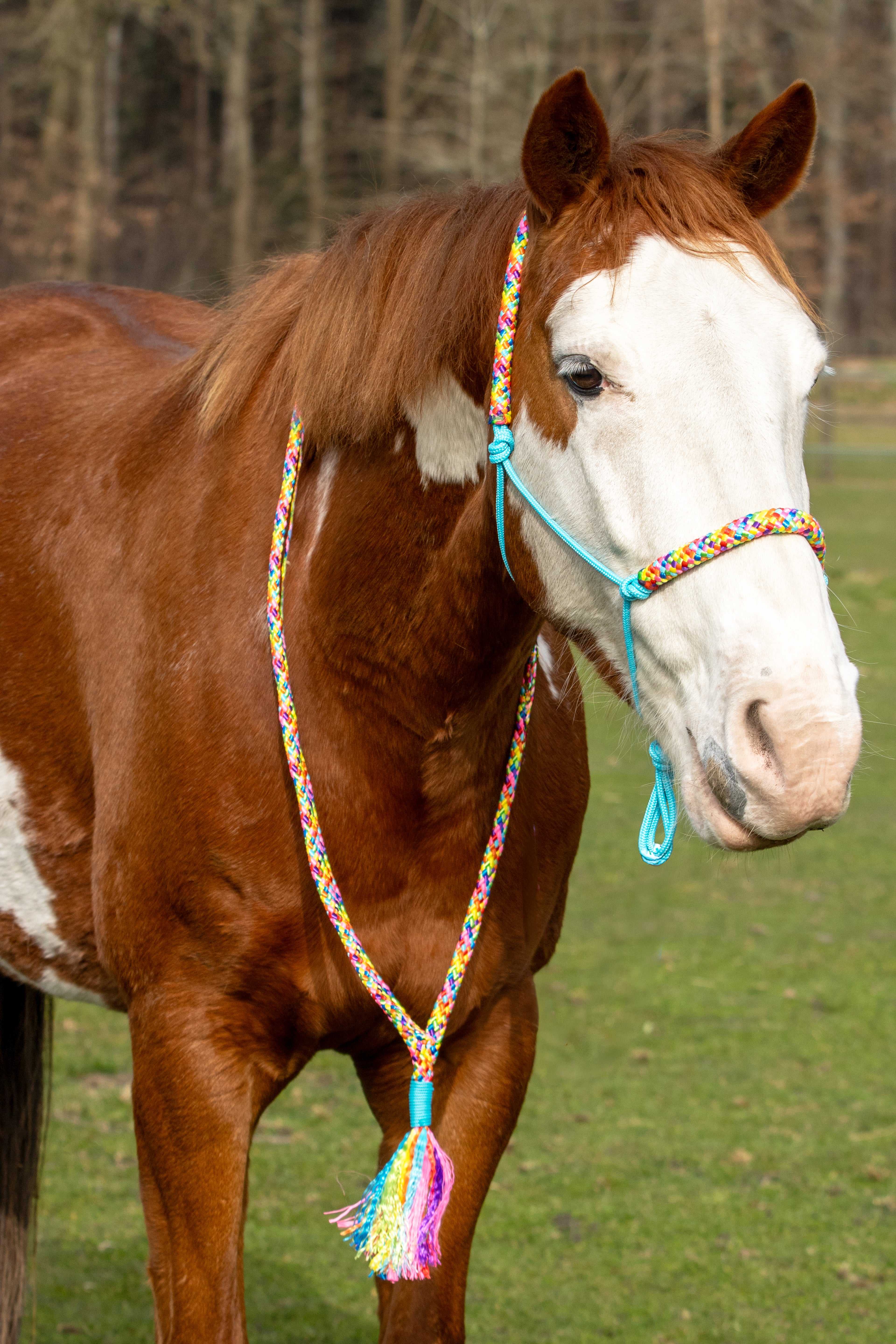 Touwhalster set rainbow vibes