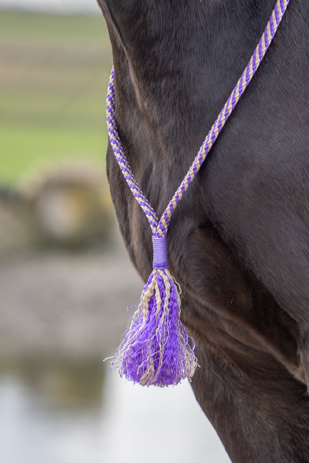 Touwhalster set velvet violet