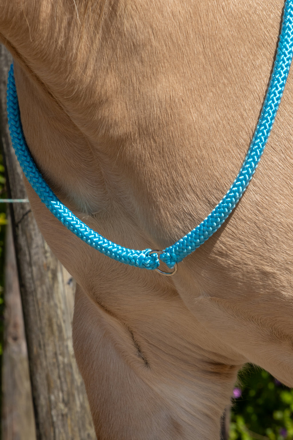 Neckrope met ring