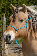 Basis touwhalster met sidepull ringen