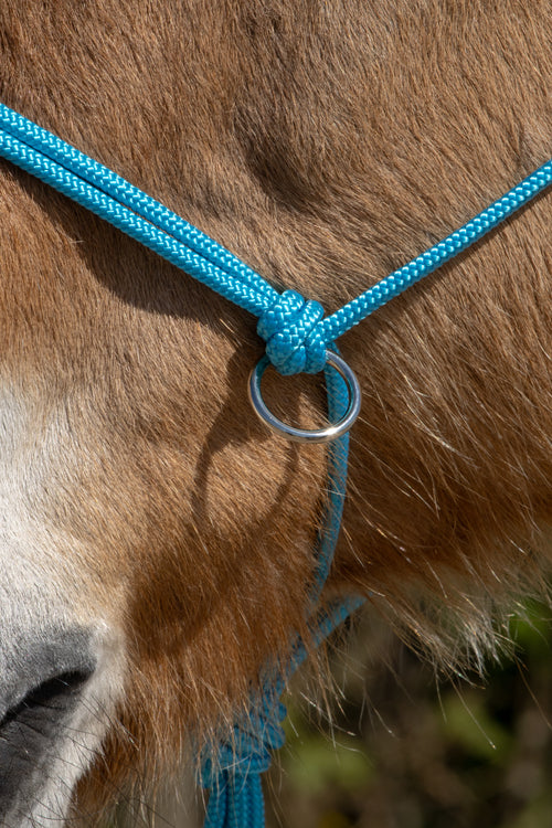 Basis touwhalster met sidepull ringen