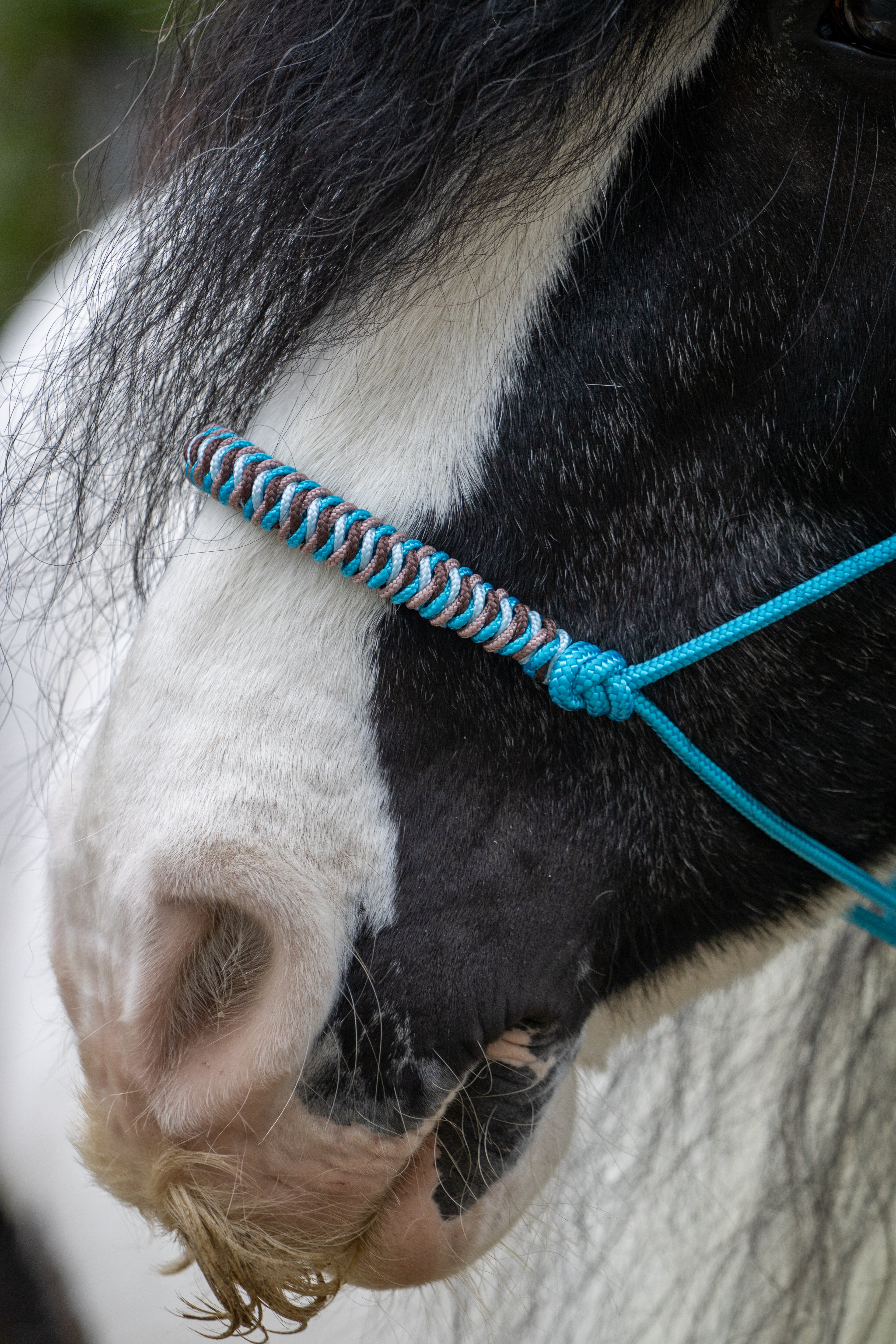 Touwhalster viënna neusband oceaan blauw, koper, babyblauw en bruin